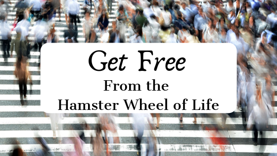 get free from the hamster wheel of life